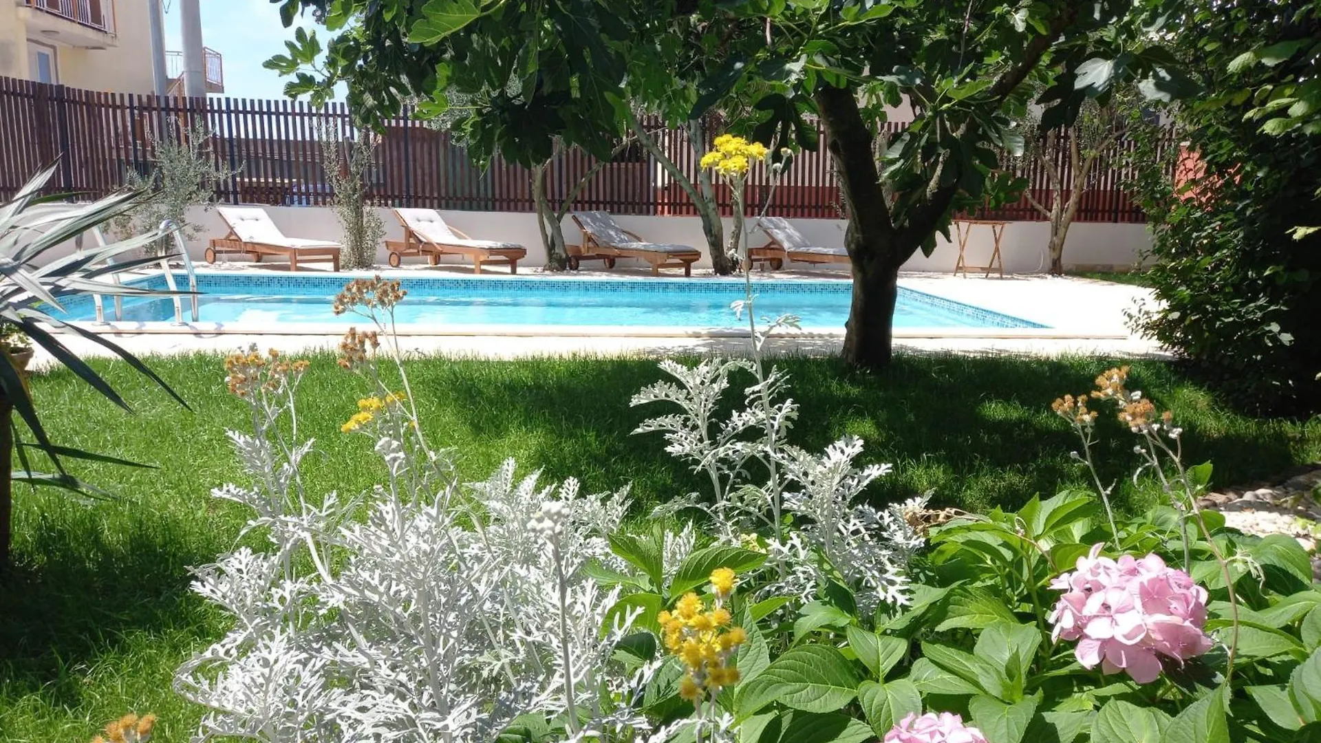 Apartment Kucica Zadar