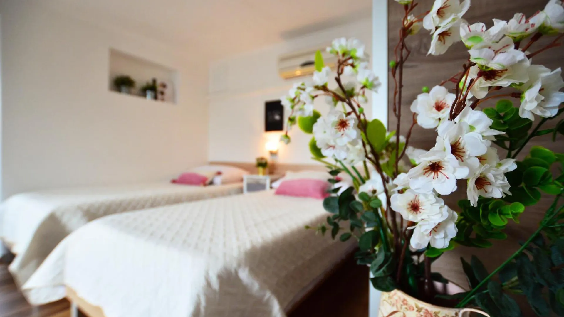 Apartment Kucica Zadar