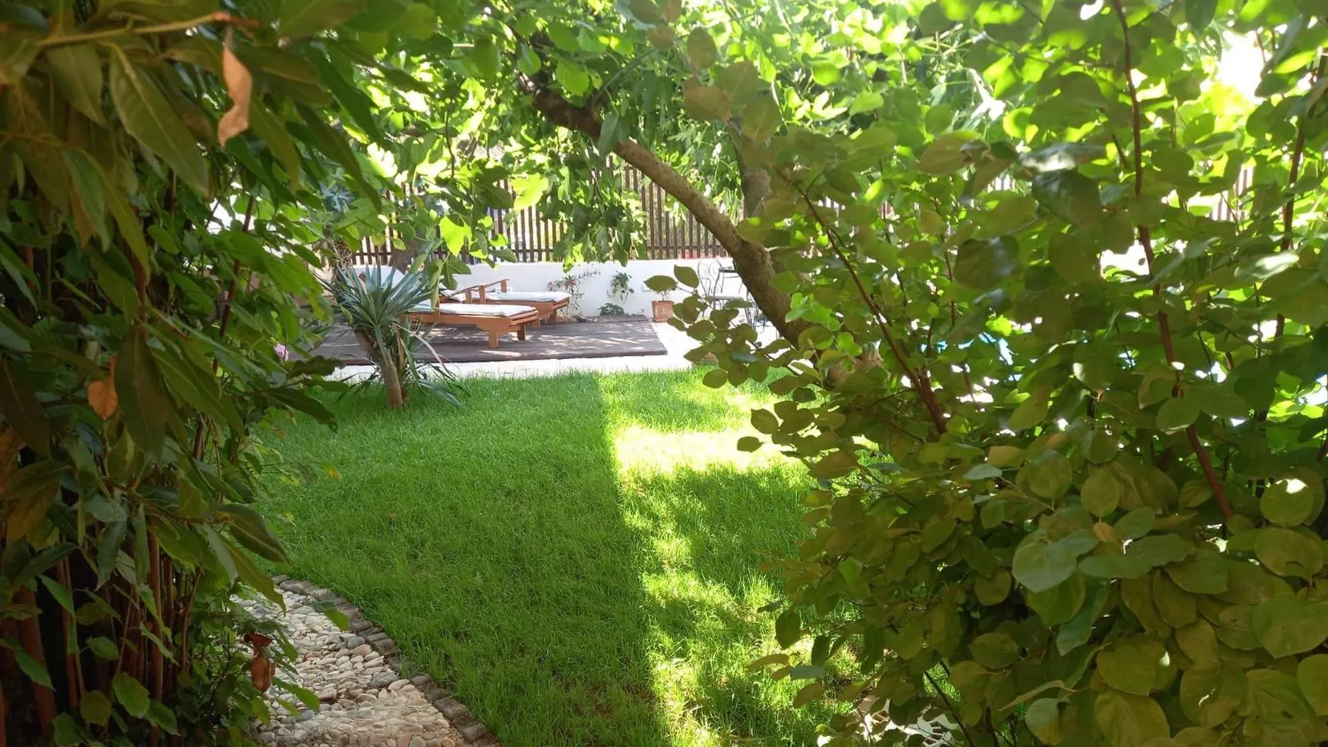 Apartment Kucica Zadar